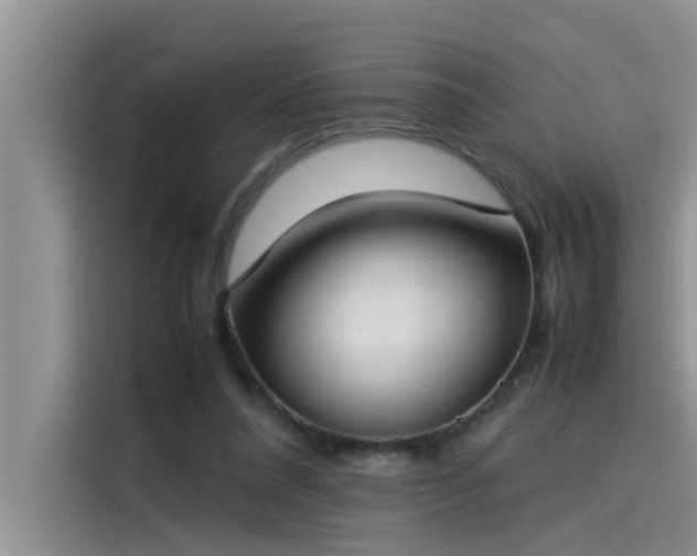 X0000115500304200911131326
