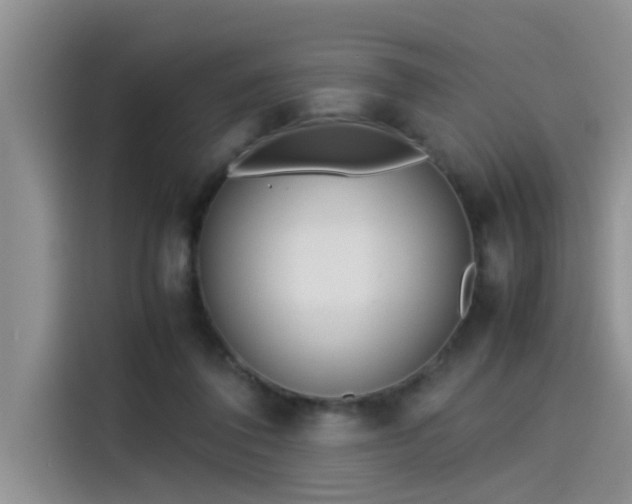 X0000115500308200911131326