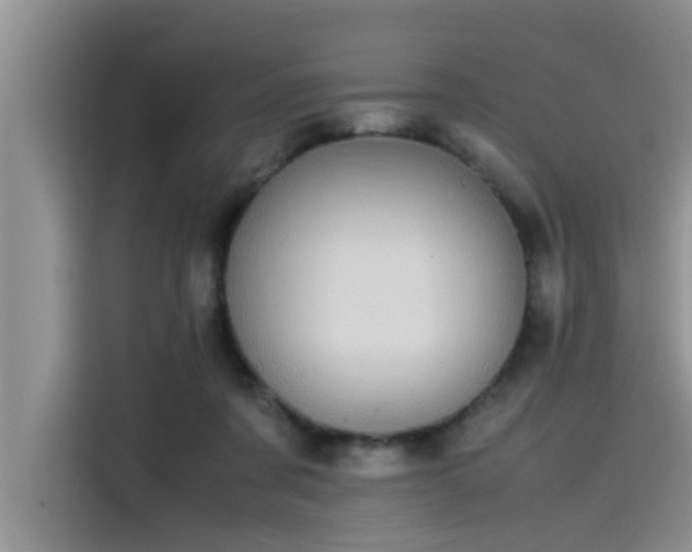 X0000115500311200911131326