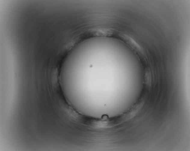 X0000115500318200911131326