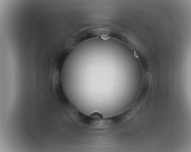 X0000115500323200911131326