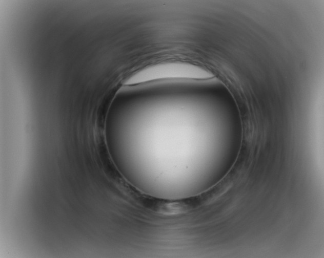 X0000115500324200911131326