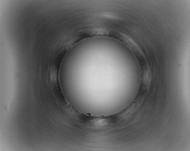 X0000115500326200911131326