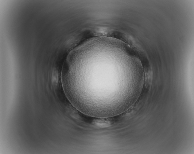 X0000115500331200911131326