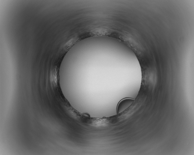 X0000115500334200911131326