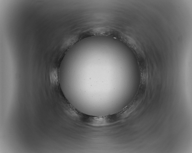 X0000115500335200911131326