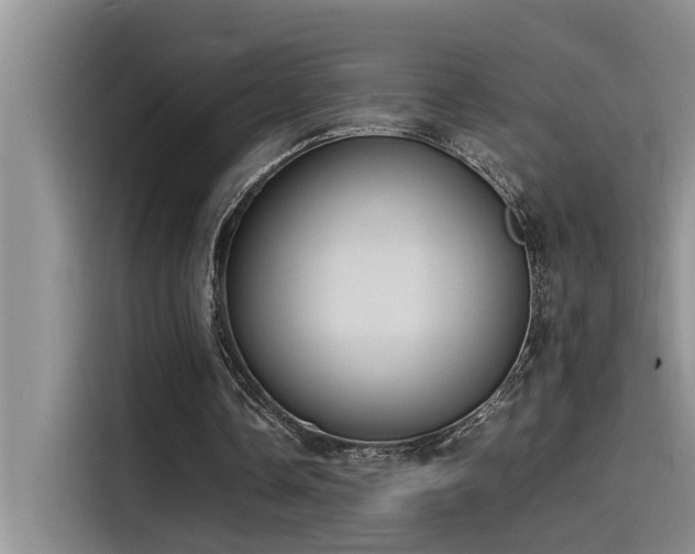 X0000115500338200911131325