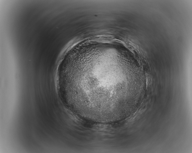 X0000115500339200911131325