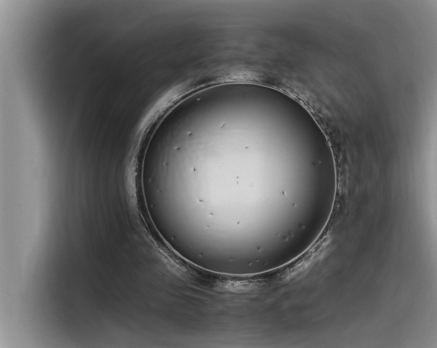 X0000115500341200911131325