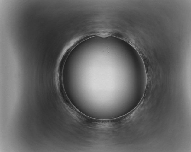 X0000115500342200911131325