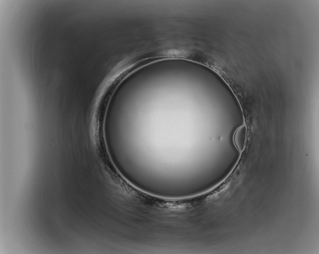 X0000115500343200911131325