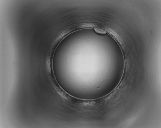 X0000115500345200911131325
