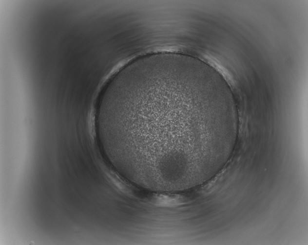 X0000115500346200911131325