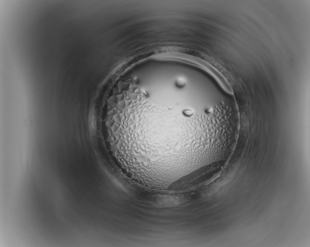 X0000115500347200911131325