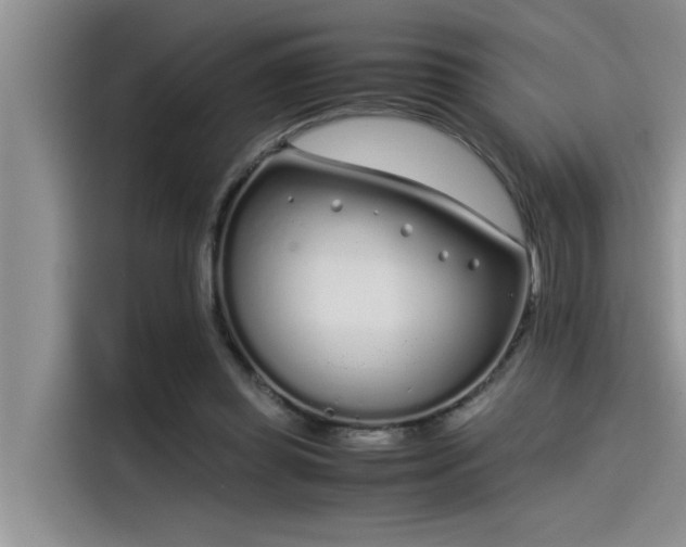 X0000115500349200911131325