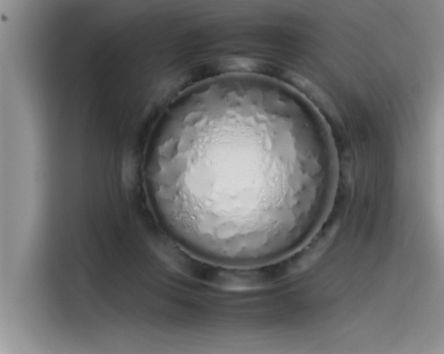 X0000115500359200911131325