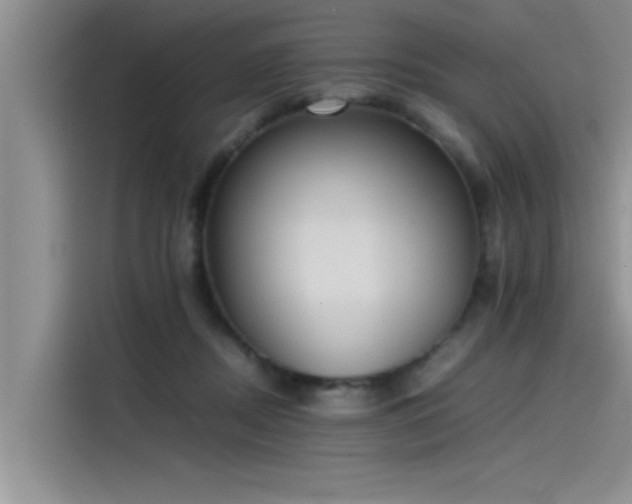 X0000115500362200911131325