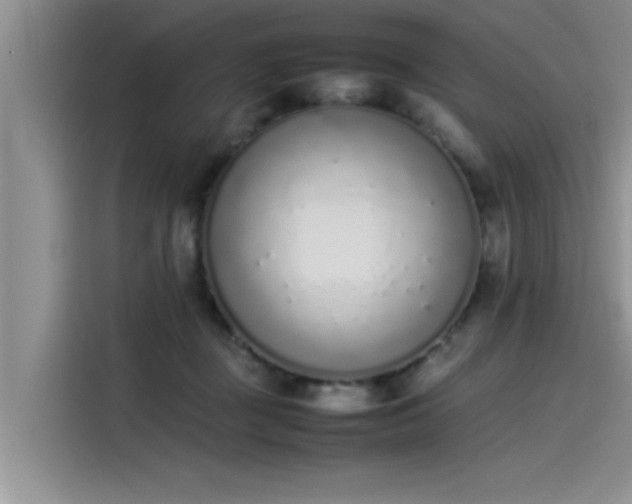 X0000115500363200911131325