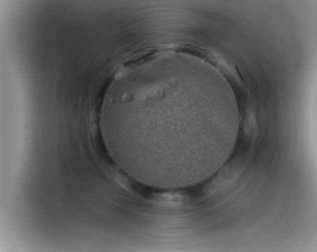 X0000115500366200911131326