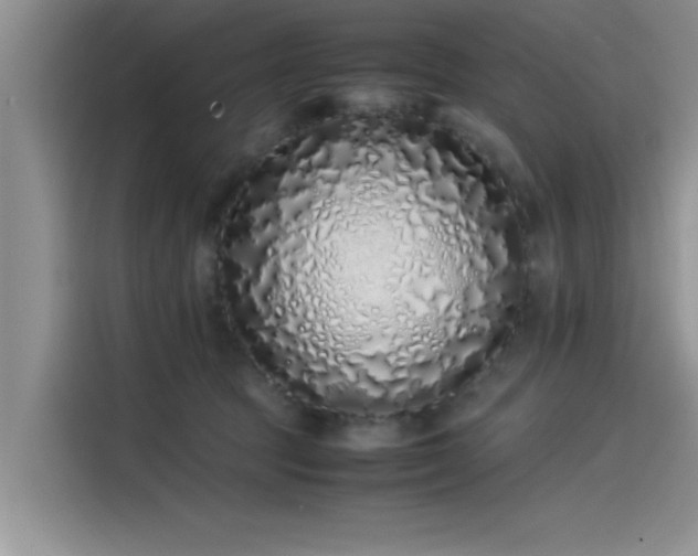 X0000115500369200911131326