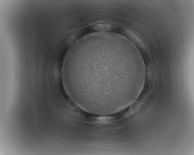 X0000115500371200911131326