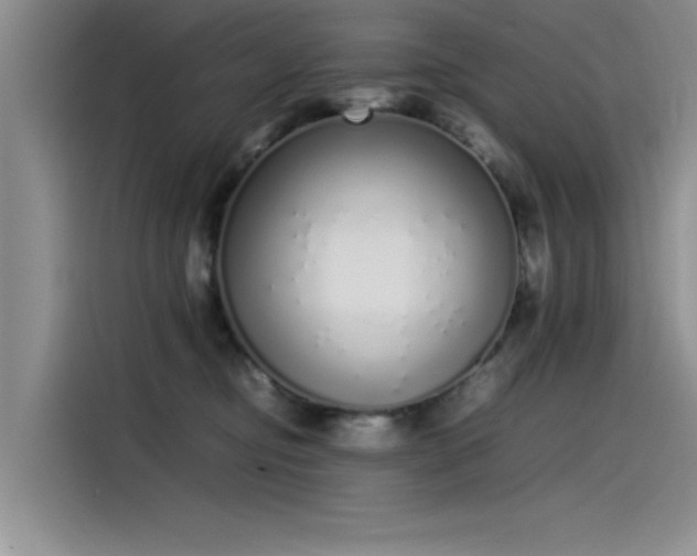 X0000115500374200911131326