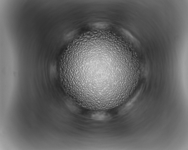 X0000115500377200911131326