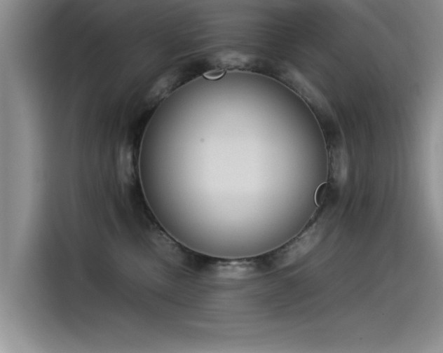 X0000115500378200911131326