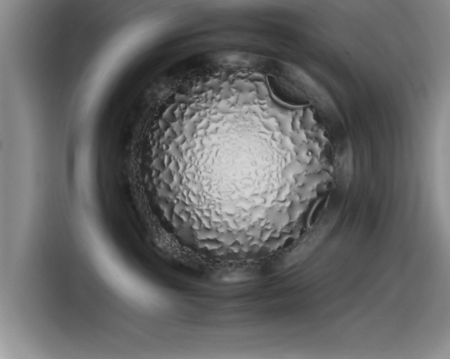 X0000115500381200911131326