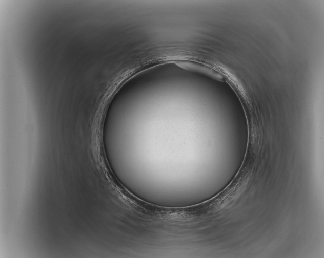 X0000115500385200911131325