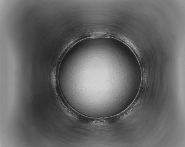 X0000115500386200911131325