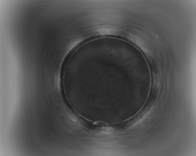 X0000115500391200911131325