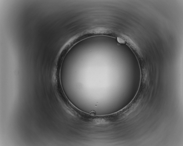 X0000115500392200911131325