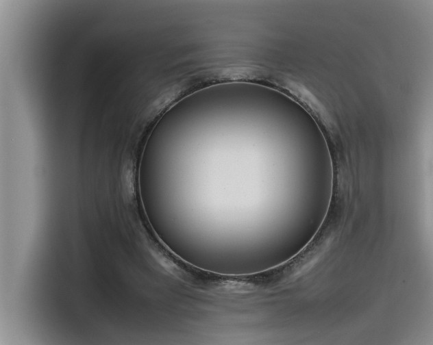 X0000115500393200911131325