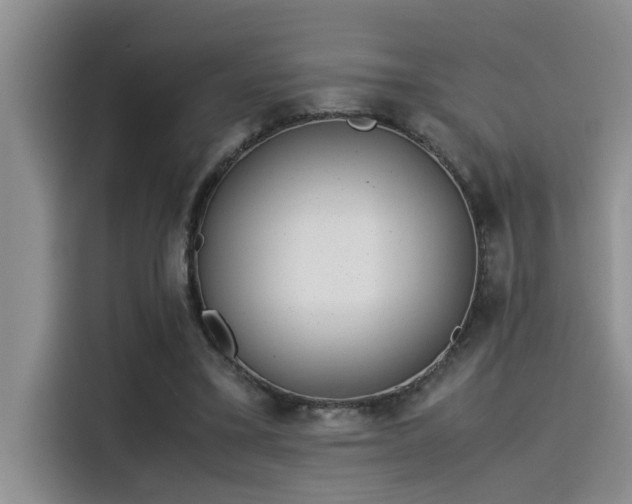 X0000115500395200911131325