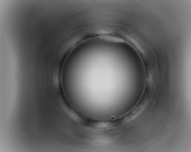 X0000115500402200911131325