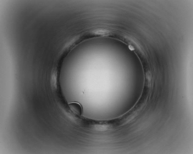 X0000115500404200911131325