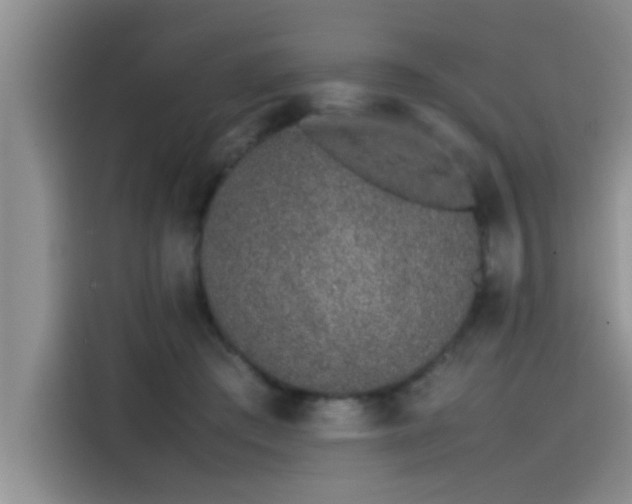 X0000115500409200911131325