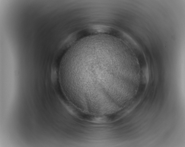 X0000115500410200911131325