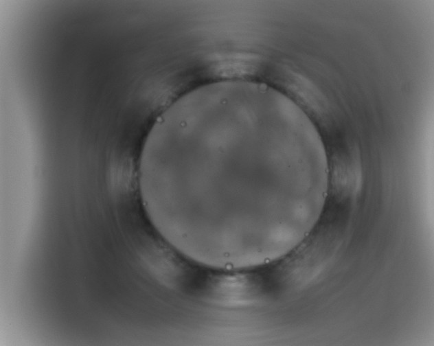 X0000115500411200911131325
