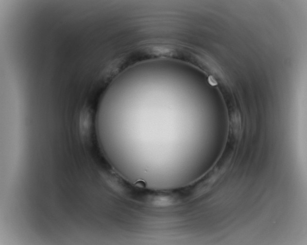 X0000115500412200911131325