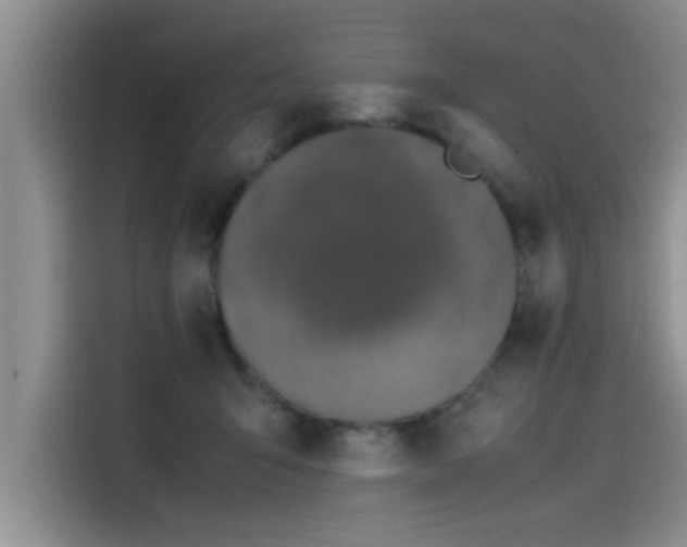 X0000115500415200911131325