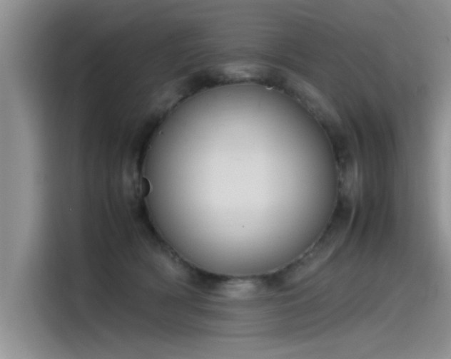 X0000115500418200911131325