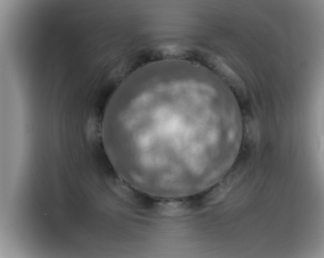 X0000115500419200911131325