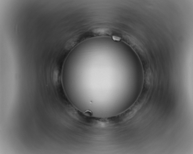 X0000115500420200911131325