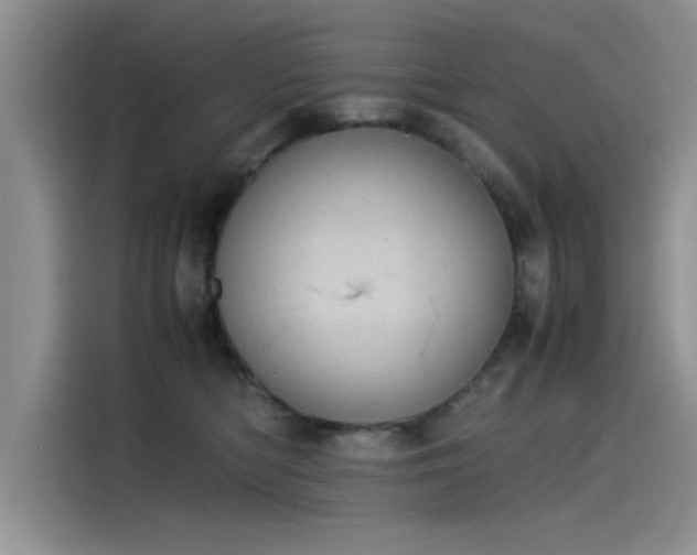 X0000115500422200911131325
