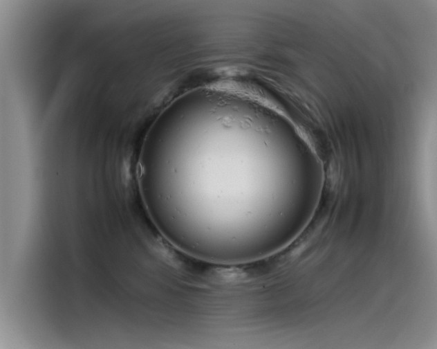 X0000115500424200911131325