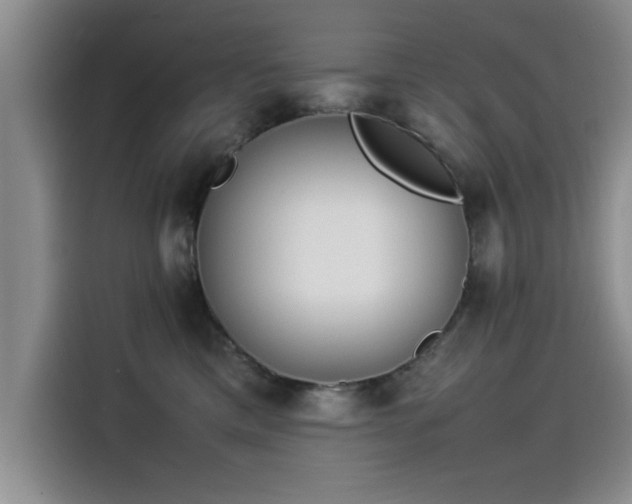 X0000115500425200911131325
