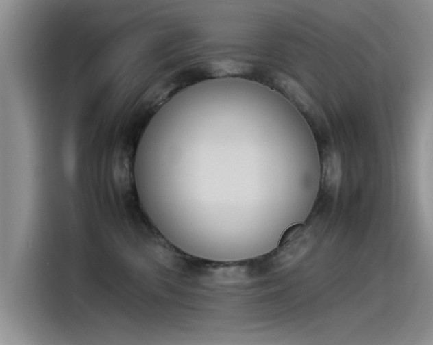 X0000115500426200911131325