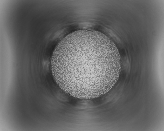 X0000115500427200911131325